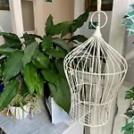Pomodoro Guest house Vrbno pod Pradedem