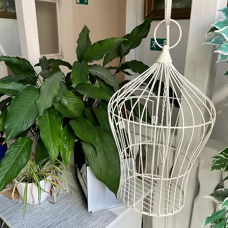 Pomodoro Affittacamere Vrbno pod Pradědem