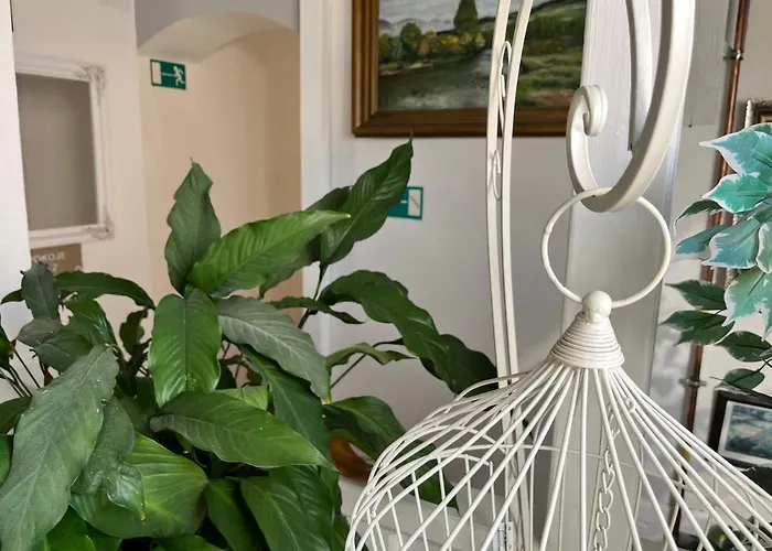 Pomodoro Guest house