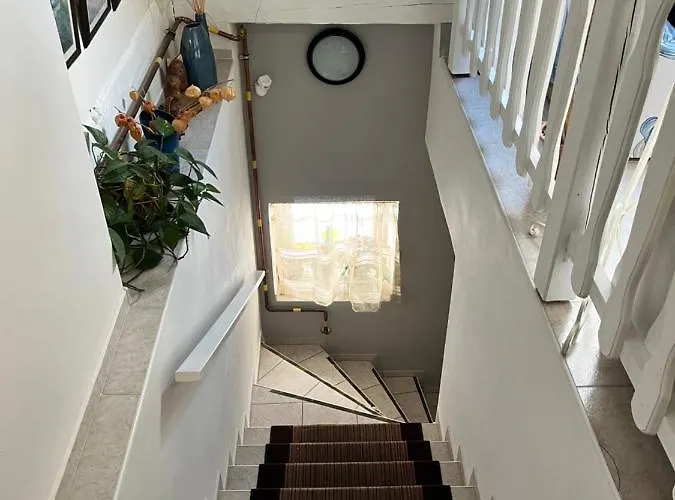 Pomodoro Vrbno pod Pradedem