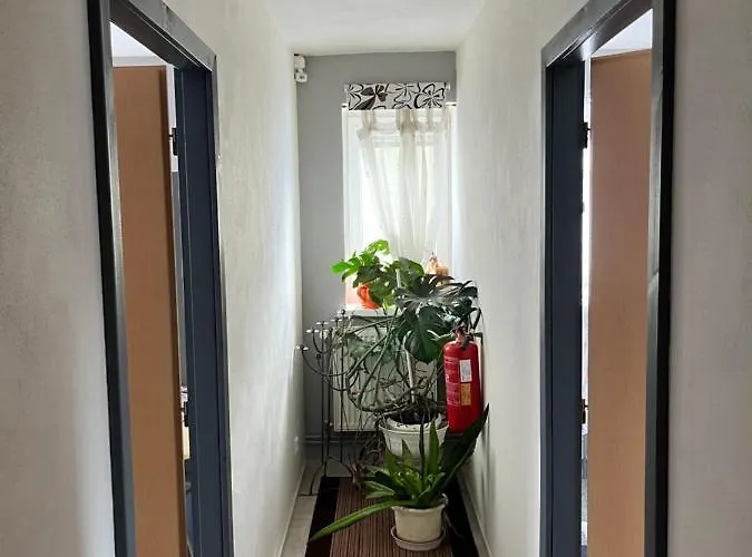 Guest house Pomodoro Vrbno pod Pradedem