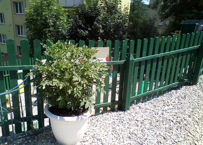 Guest house Pomodoro Vrbno pod Pradedem